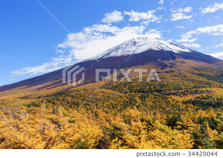 富士山和後花園的景色 34420044