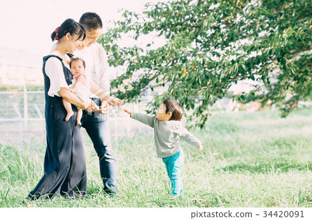 假日家庭新鮮綠色 34420091