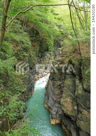 Azuma Gorge (Gunma) 34420190