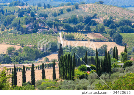 Tuscany countryside, San Gimignano, Italy 34420655