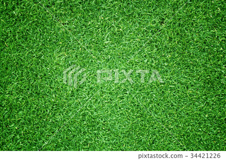Natural background of green grass Smal Natural background of green grass Smal 34421226