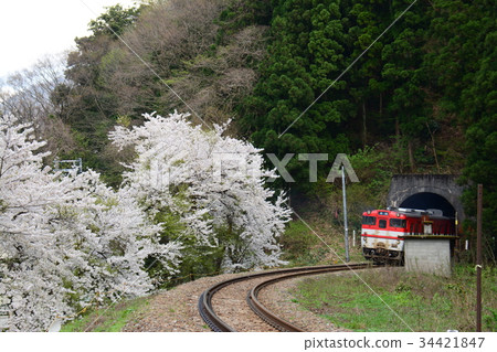 Sakika Station附近的火車和火車 Sakika Station附近的火車和火車 34421847
