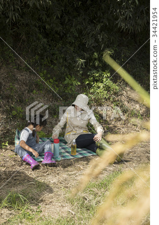 父母和孩子休息時收穫水稻 父母和孩子休息時收穫水稻 34421954
