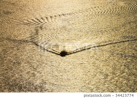 Twilight trail 2 (from Takamatsuya Island) 34423774