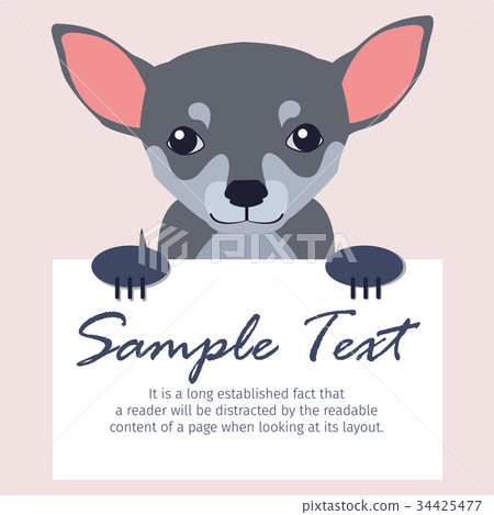 Chihuahua with Signboard Isolated Illustration 34425477