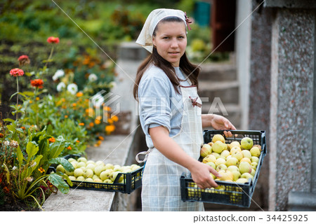 woman in garden woman in garden 34425925