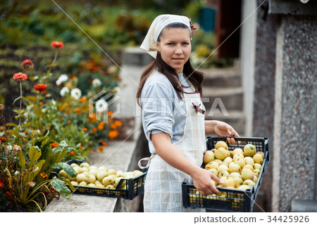 woman in garden woman in garden 34425926
