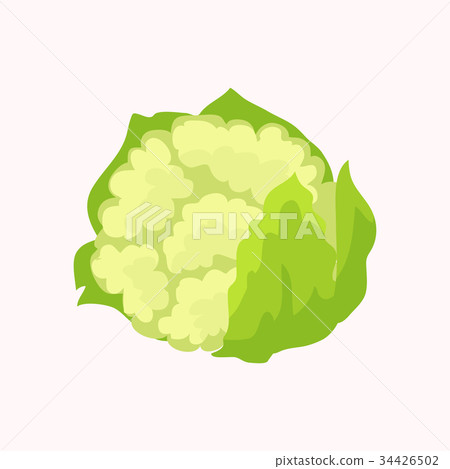 Cauliflower Isolated on White Background. Vector 34426502