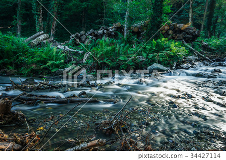Cascading Stream in mountain forest Cascading Stream in mountain forest 34427114