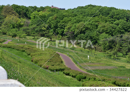 Sayama Nature Park × Landscape Sayama Nature Park × Landscape 34427822
