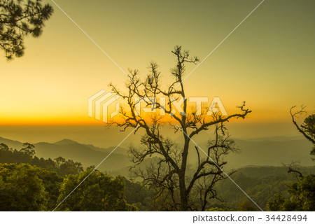 Beautiful Sun rise in Thailand, Chiangmai 34428494