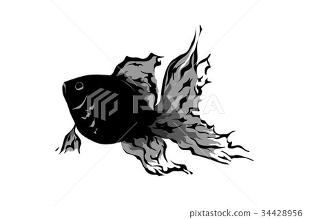 金魚 金魚 34428956