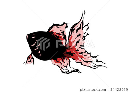 金魚 34428959