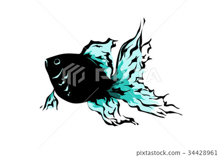 金魚 34428961
