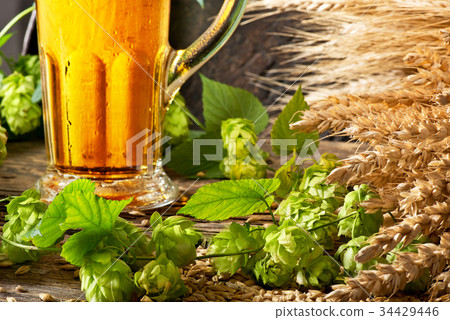 Detail of Beer Glass with Hops and Barley Detail of Beer Glass with Hops and Barley 34429446