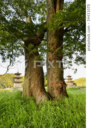 Gyeongju (Gyeongju), Gyeongju (Korea), Gyeongju, Korea 34431070