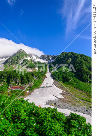 夏天雲彩和許多捲毛 34431127
