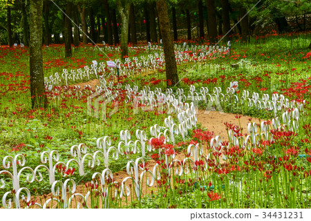 花碗,Bongdongsa,Yeonggwangun,全南,韓國 花碗,Bongdongsa,Yeonggwangun,全南,韓國 34431231