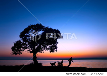 Silhouette of parent and child and dog taking a walk along the lakeside 34432205