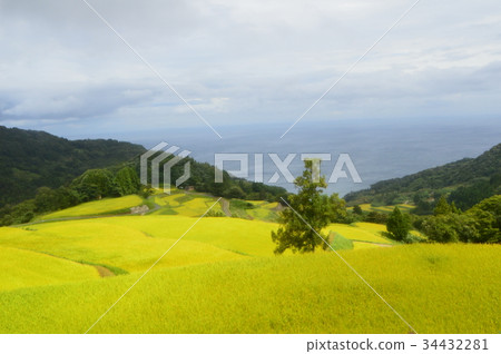 Iwakuni Shoryu Tanada (Sawa City, Niigata Prefecture) Iwakuni Shoryu Tanada (Sawa City, Niigata Prefecture) 34432281