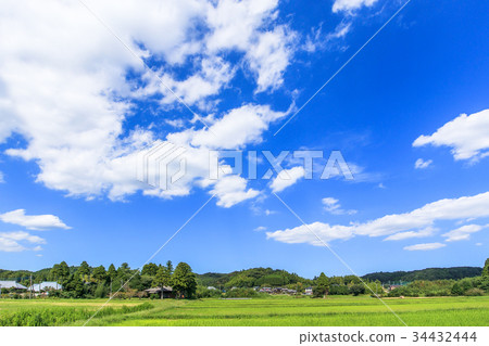 Satoyama scenery of Nagasawa-cho Serizawa-cho 34432444