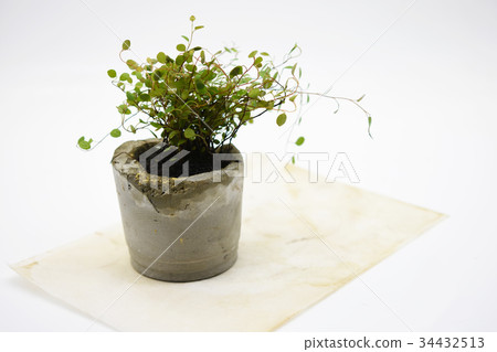 多肉水泥花器_13 34432513