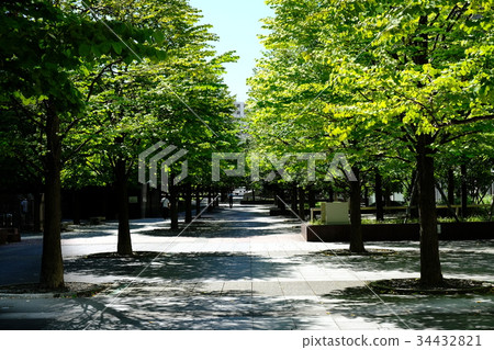 品川中央花園 34432821