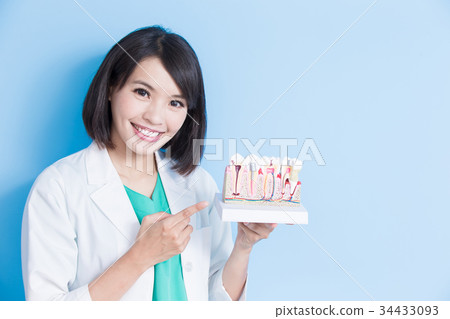 dentist take tooth structure model 34433093