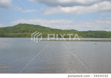 釧路湖（釧路濕地國立公園，北海道川上郡Shibechacho） 34434192
