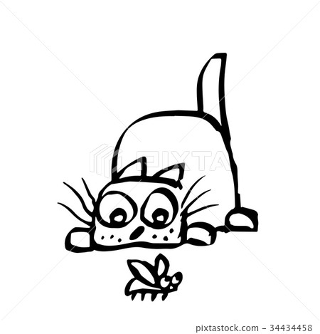 插图素材 cat preys on the beetle vector illustration.