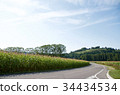 Cornfield landscape Monfera, Isere, Auvergne-Rhone-Alpes, France 34434534