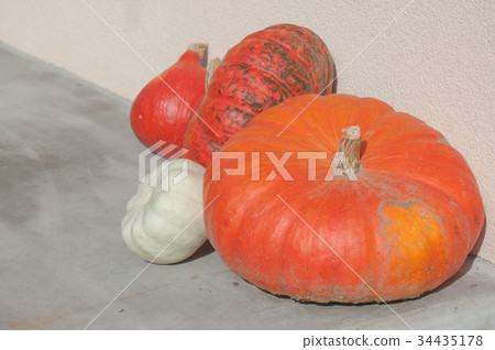 group of pumpkins in decoration house group of pumpkins in decoration house 34435178