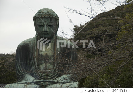 Kamakura Daibutsu Buddha with tree on side Kamakura Daibutsu Buddha with tree on side 34435353