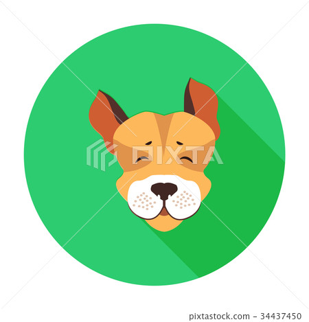 dog muzzle for jack russell