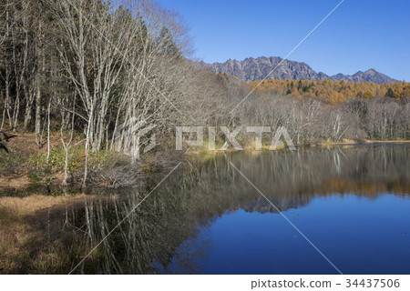 Late autumn Birds Pond and Togakushi 34437506