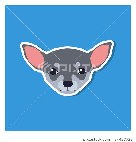 Little Head of Chihuahua Dog Front View Flat Icon Little Head of Chihuahua Dog Front View Flat Icon 34437722