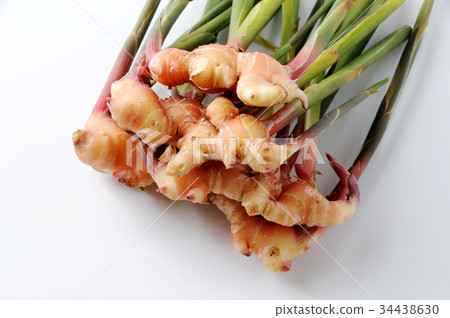 Golden ginger 34438630