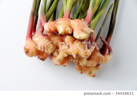 Golden ginger 34438631