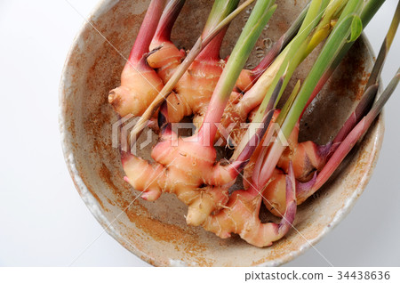 Golden ginger Golden ginger 34438636