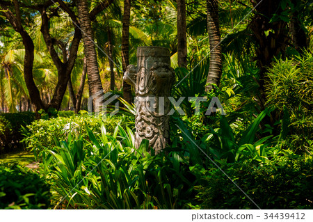 Trail in the tropical jungle in the afternoon 34439412