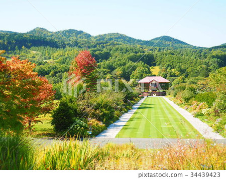 Autumn Yuni Garden Autumn Yuni Garden 34439423