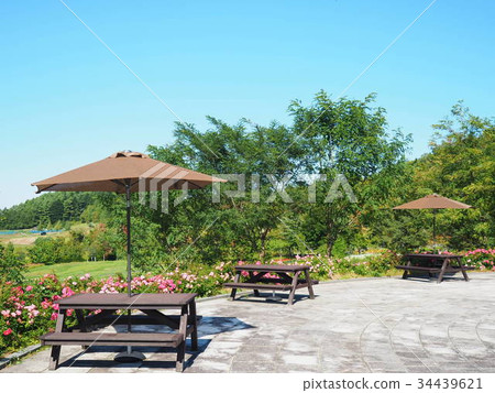  English garden 34439621