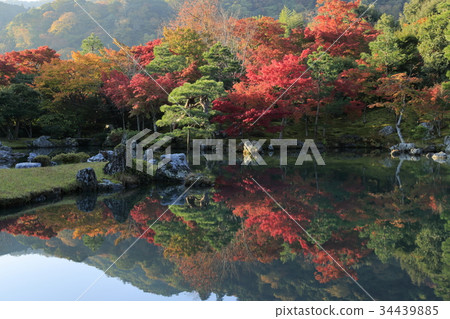 秋天的Tenryuji花園 秋天的Tenryuji花園 34439885