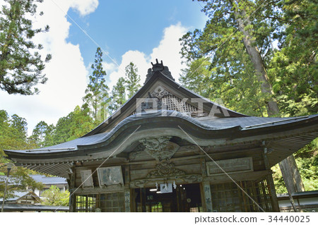 [和歌山縣和歌山縣]奧之院的安息之地 34440025