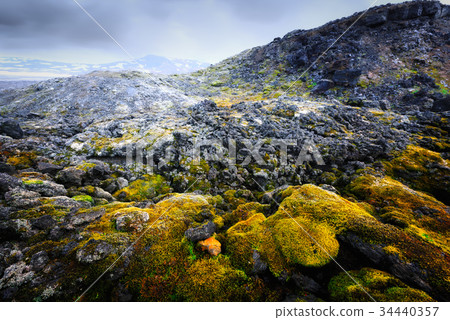 Lavas field in the geothermal valley 34440357