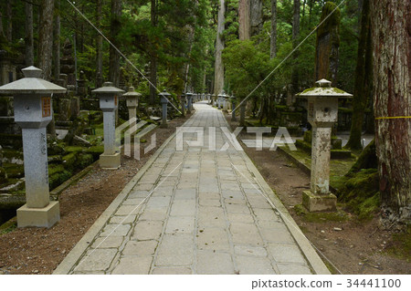 [Wakayama Prefecture Koyasan] Approach to Okunoin 34441100