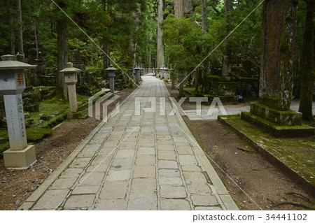 [Wakayama Prefecture Koyasan] Approach to Okunoin 34441102