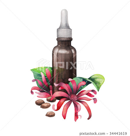 Watercolor star anise oil Watercolor star anise oil 34441619