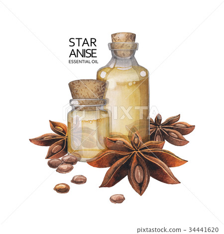 Watercolor star anise oil Watercolor star anise oil 34441620