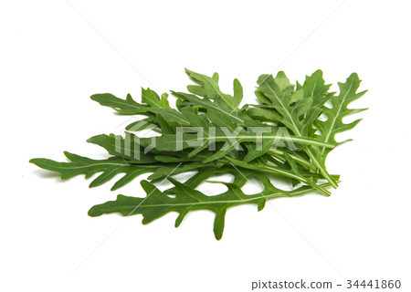 Leaves of arugula Leaves of arugula 34441860